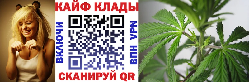 Магазины продажи наркотиков Петровск-Забайкальский СК  Меф  Марихуана 
