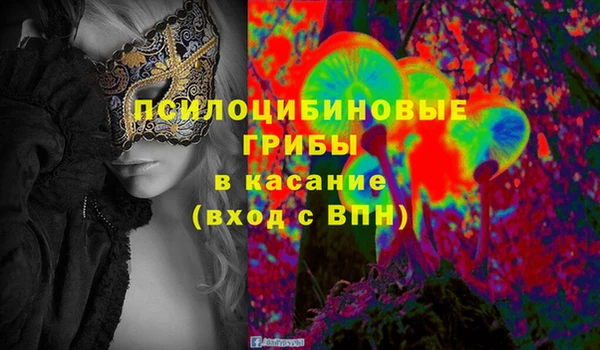 ешки Горнозаводск