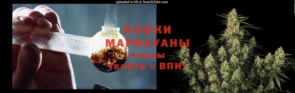 дмт Горно-Алтайск