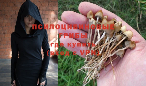 дмт Горно-Алтайск