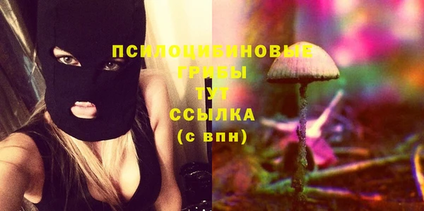 прущая мука Горняк