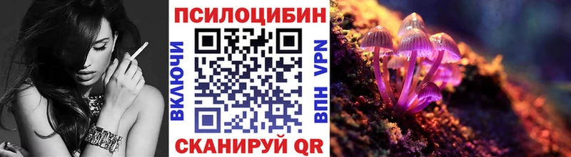 Псилоцибиновые грибы Psilocybe  купить наркотик  Петровск-Забайкальский 